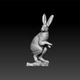 r1.jpg rabbit - realistic rabbit - decorative rabbit