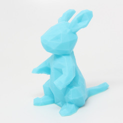 Capture_d__cran_2015-07-11___19.18.04.png Free STL file Low poly Kangaroo・3D print model to download, RubixDesign