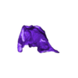 Maiasaura_skull_lifesize.stl Fichier STL Jeune crâne de Maiasaura・Design imprimable en 3D à télécharger