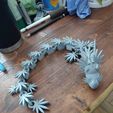 IMG_4616.jpeg Puff the magic dragon- pot leaf dragon