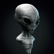 render-1-grey-alien.png GREY ALIEN BUST MODEL