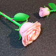 IMG_01.png Rose | 3D Printable Rose ©