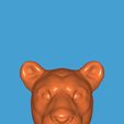 WhatsApp-Image-2021-03-26-at-7.46.39-PM.jpeg Makeit realistic wall hang animal head collection lioness head