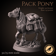 Preview00.png Pack pony