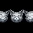 1-3.jpg Mystic Cat