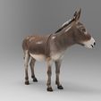 burr1.jpg 1/32 Scale Standing Donkey - Realistic Farm Animal Figure for Slot Car Diorama, Rural Scene & Miniature Display