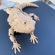 Bearded Dragon Articulated Toy, Print-In-Place Body, Snap-Fit Head, Cute Flexi