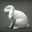 rabbit-ram2.jpg Rabbit ram 3D print model