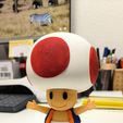 Toad from Mario games - Multi-color
