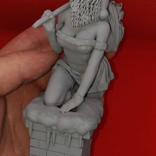 photo_2022-12-06_10-49-43.jpg lady santa