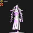 zjdh-kopie.jpg Dark elves Disciple