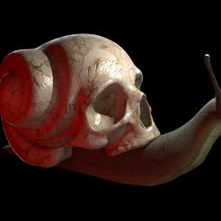 1.jpg Файл STL череп улитки・Шаблон для 3D-печати для загрузки