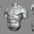 01.jpg Torso reference