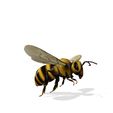 0_00049.jpg DOWNLOAD BEE 3D Model BEE - Obj - FbX - 3d PRINTING - 3D PROJECT - BLENDER - 3DS MAX - MAYA - UNITY - UNREAL - CINEMA4D - BEE GAME READY - POKÉMON - RAPTOR