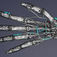 w6.jpg Upper limb arteries axilla arm forearm 3D model