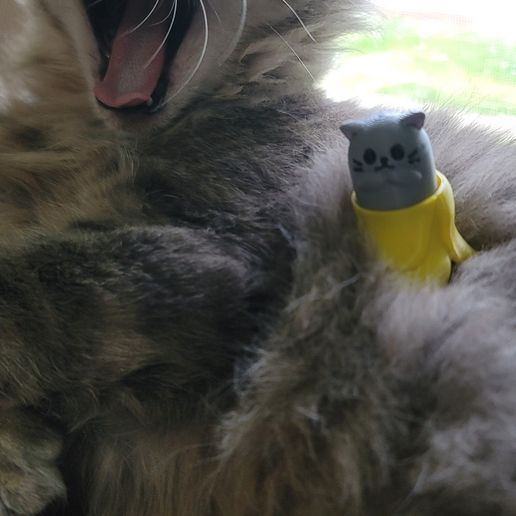 499383573_2466807063691792_1425219743679007416_n.jpg Banana Cat Clickers and Solid Keychains