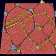 Screenshot-26.png Liver histology anatomy labelled