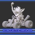6.jpg Crash Team Racing Nitro Fueled based Crash Bandicoot 3D print model