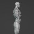 Captura-de-pantalla-2022-05-11-120029.jpg Male Body Human Model | Male Body Human Model