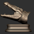 13.png Cabeça de crocodilo