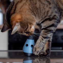 P1015942.jpg 3D file Educational toys for cats・3D print design to download