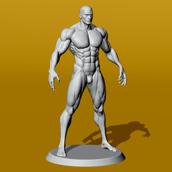 Printable.png Muscular Male Anatomy Figurine