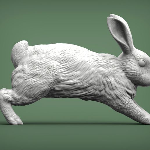 🐇 Rabbit 3D print model・ 3D File for ・Cults
