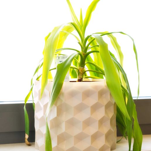 Pot et jardinière hexagonale inversée - Mode vase