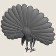 Peacock-Bird-09.jpg Птица павлин