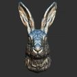 25.jpg Hare head