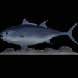 Bluefin-tuna-2.png Atlantic bluefin tuna / Thunnus thynnus / Tuňák obecný  fish underwater statue detailed texture for 3d printing