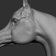 17.png Arabian Horse