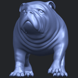 14_TDA0520_Bull_Dog_01B01.png Bull Dog 01