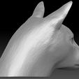 7.jpg Siamese Cat head for 3D printing