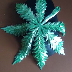 IMG_20230321_114535288.jpg Archivo OBJ Flexi Cannabis Alien・Diseño de impresora 3D para descargar