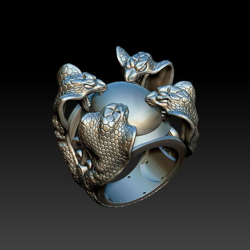 2021-02-04_021740.jpg Cobra ring