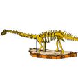 premium-dino-set-pic11.jpg [3Dino Puzzle]Large Dinosaur Museum Premium Set