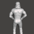 Screenshot-1058.png WWE WWF LJN Style Rick Rude Figure