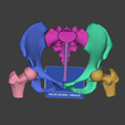 Screenshot-2025-12-14-105835.png PELVIS MODEL MAGNETIC JOINTS