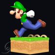 8.jpg Luigi STL 3D print figure
