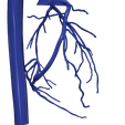 5.png 主动脉和冠状动脉 3D 模型 - 6 件装