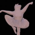 Pig-ballerina-pic-4.jpeg Ballerina Pig