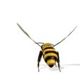 0_00033.jpg DOWNLOAD BEE 3D Model BEE - Obj - FbX - 3d PRINTING - 3D PROJECT - BLENDER - 3DS MAX - MAYA - UNITY - UNREAL - CINEMA4D - BEE GAME READY - POKÉMON - RAPTOR