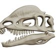 01.jpg The Dilophosaurus, 3D skull