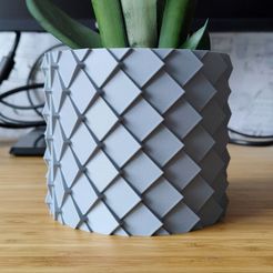 Louis Vuitton Planter Vase Bag - 3D Print Model by seanguerrez