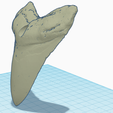 Screenshot-2023-02-21-at-18.17.18.png Megalodon tooth pendent