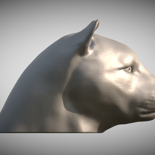 Zrzut-ekranu-2025-06-14-100451.png Голова леопарда для 3D-печати
