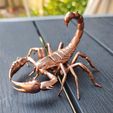 1692560774423.jpg Scorpion inspired by ARK survival evolved