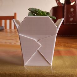 bis.jpg 3D file Chinese takeout box, succulent PLANTER・3D printable model to download, nachitox