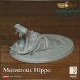 720X720-release-hippo4.jpg Hippopotamus - Pharaohs Folly